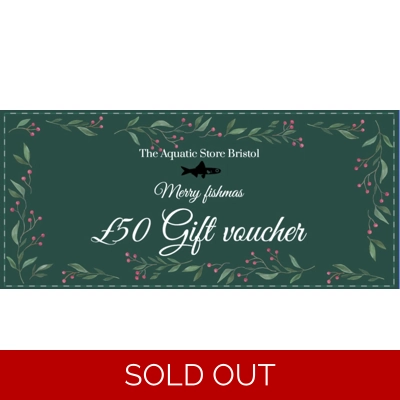 £50 Christmas gift voucher